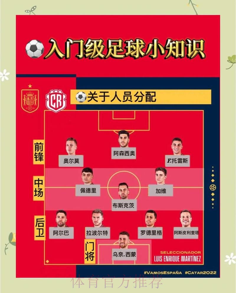 世界杯让球站玩法入门全攻略指南